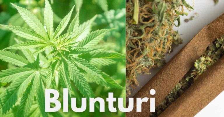 blunturi