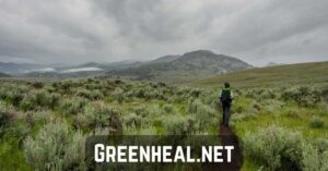 greenheal .net