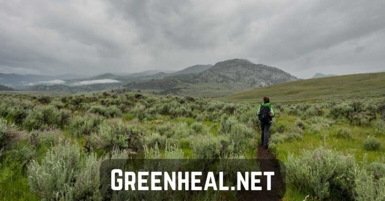 greenheal .net