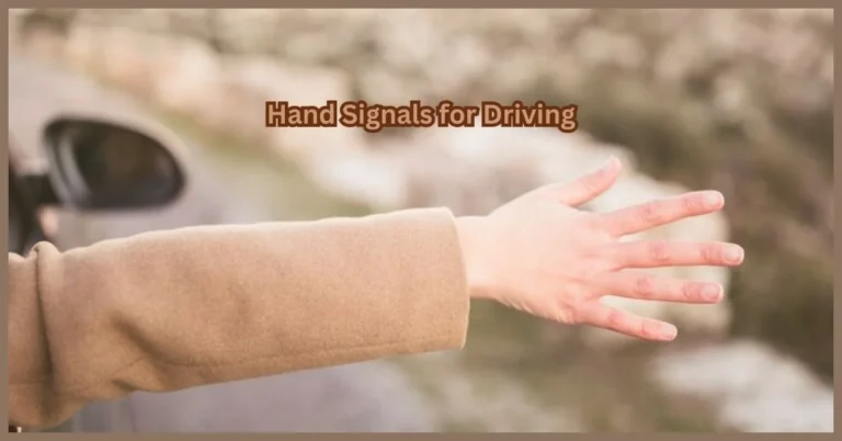 Hand Signals for Driving